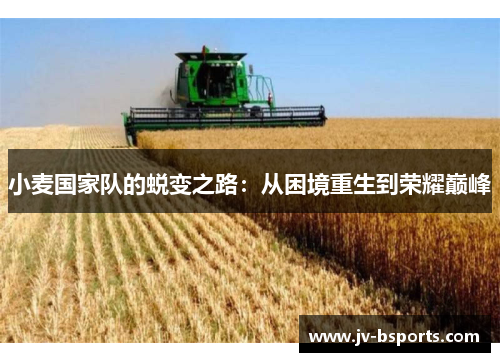 小麦国家队的蜕变之路：从困境重生到荣耀巅峰