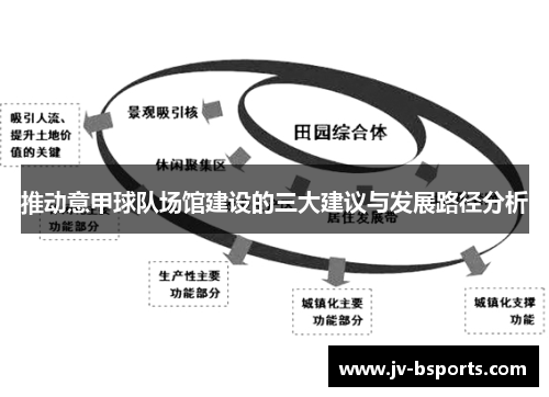 推动意甲球队场馆建设的三大建议与发展路径分析